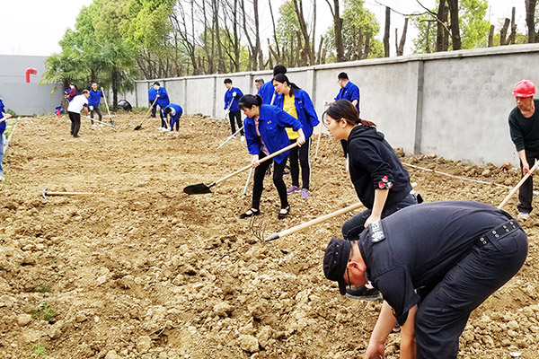 Planting