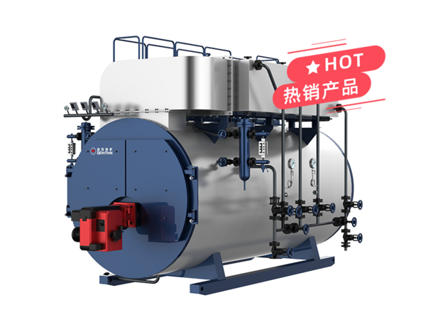 WNS Series Condensing Steam Boiler